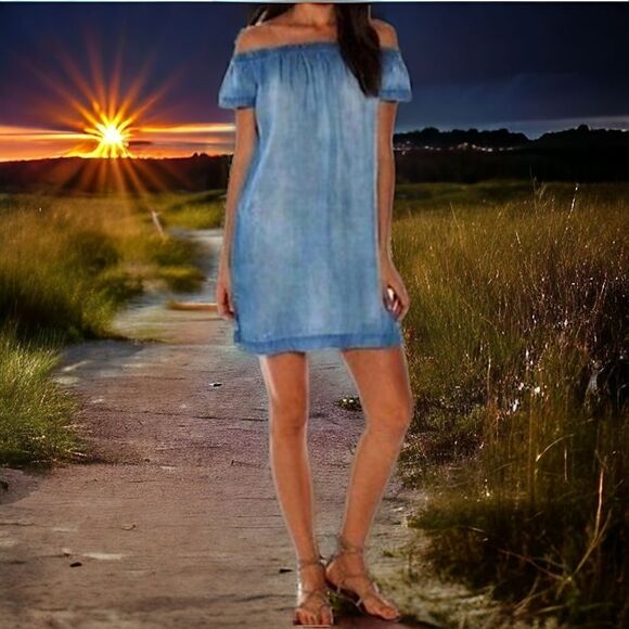 Cloth & Stone Chambray Dress Shift Mini Off Shoulder Light Wash XS Tencel Tunic - Picture 11 of 16